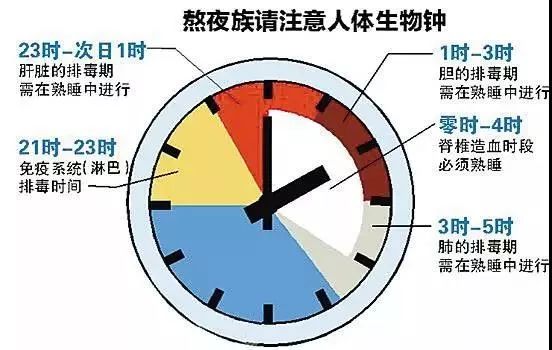 智商语录_心灵鸡汤读多损智商_心灵鸡汤智商低