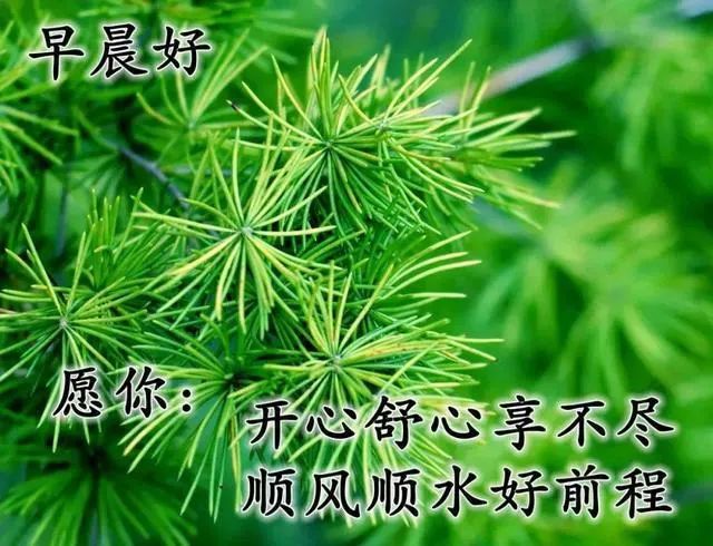 心灵鸡汤分享小故事_分享故事 心灵鸡汤_鸡汤心灵小故事