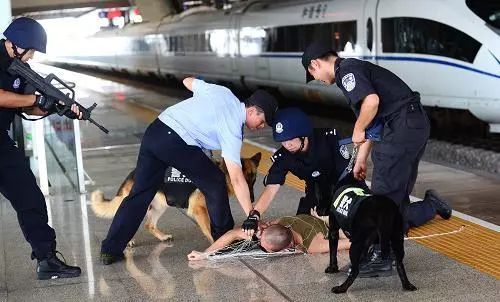 沈阳彩钢房多少钱一平_沈阳彩钢房厂电话号码_沈阳彩钢房