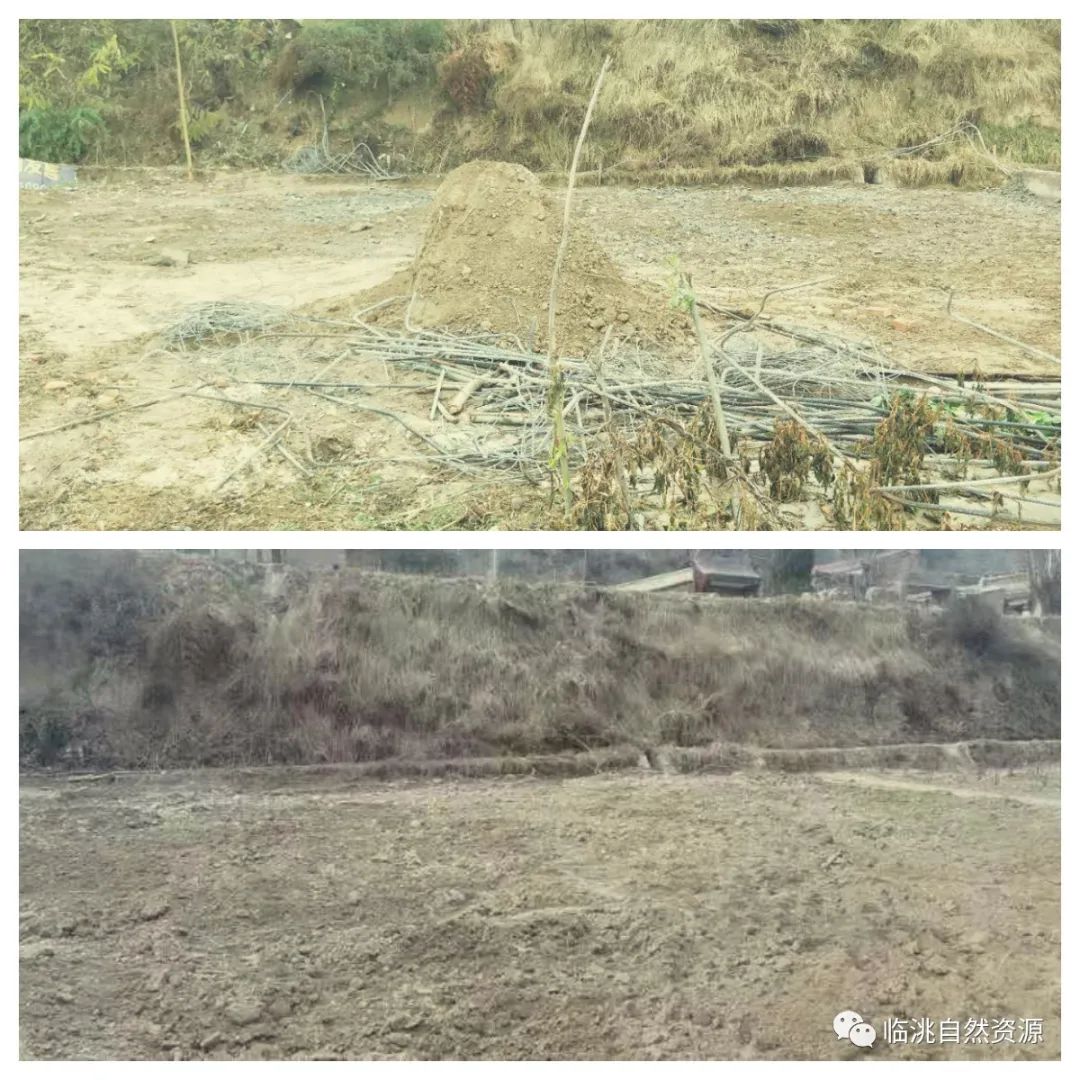 耕地上建彩钢房需要什么手续_耕地能盖彩钢房不_耕地搭建彩钢房的申请