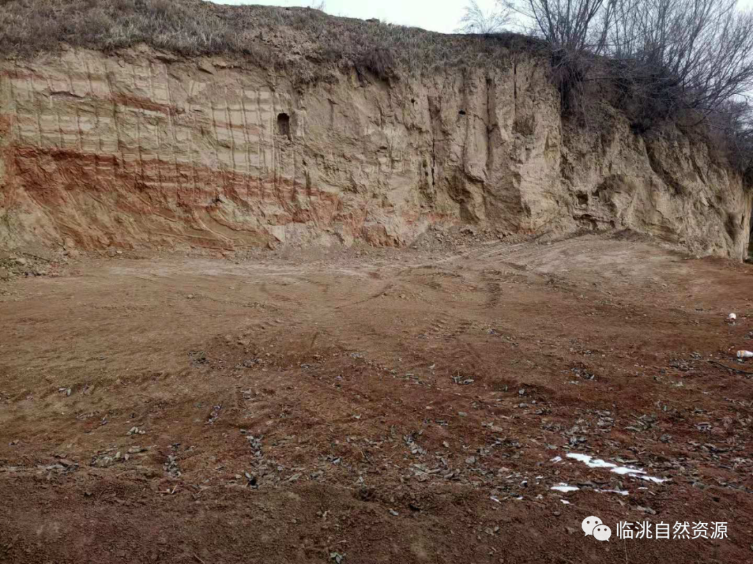 耕地上建彩钢房需要什么手续_耕地搭建彩钢房的申请_耕地能盖彩钢房不