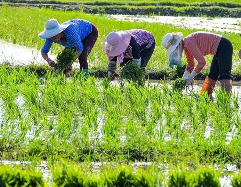 彩钢房优点缺点_彩钢房的优点_彩钢房的利弊