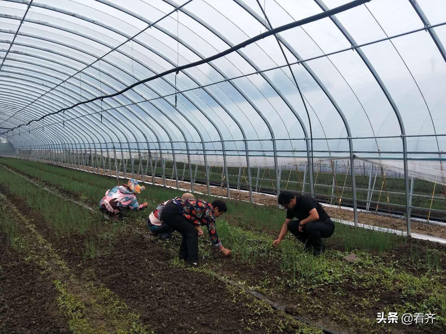 鑫建彩钢房_彩钢房厂家_专业彩钢房制作厂家