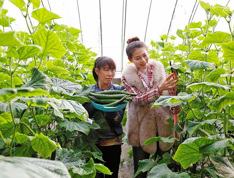 鑫建彩钢房_专业彩钢房制作厂家_彩钢房厂家