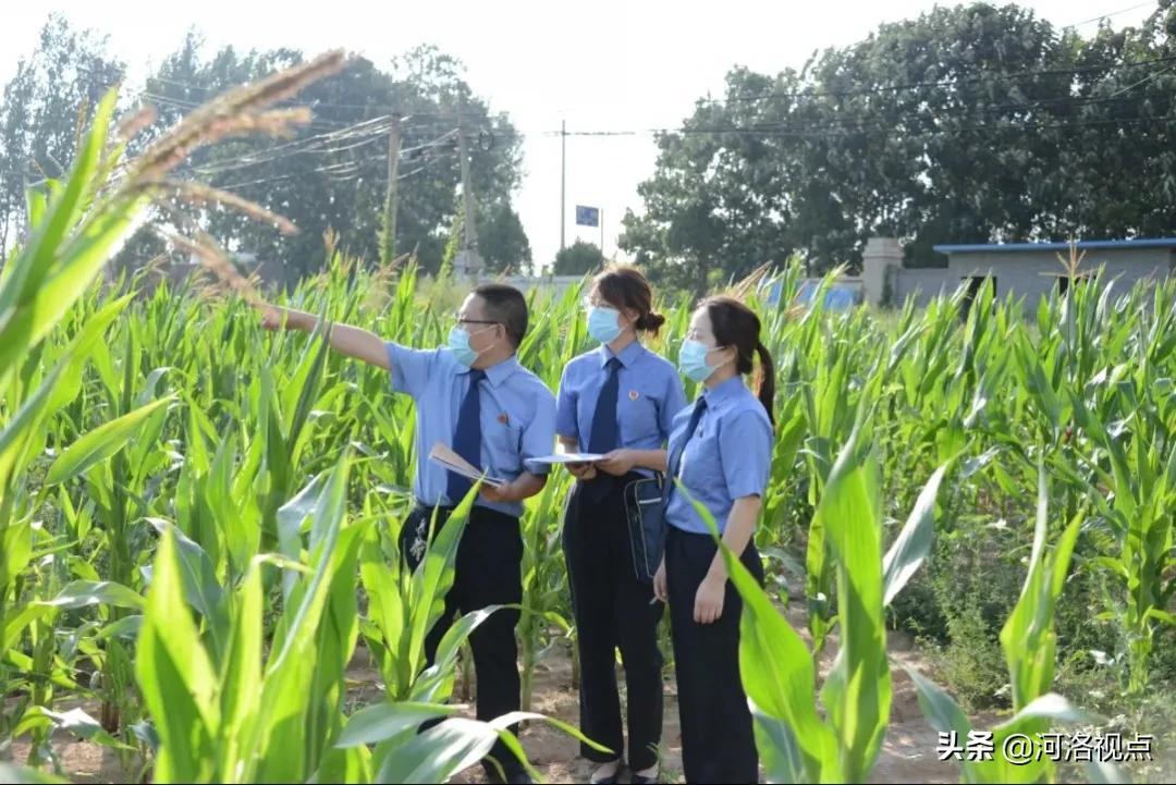 三门峡市彩钢瓦厂_河南彩钢房多少钱一平方一平方_三门峡彩钢房