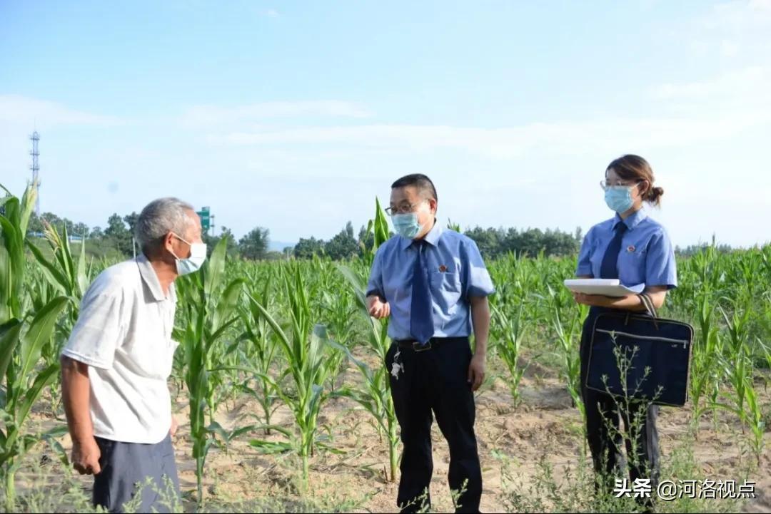 三门峡彩钢房_三门峡市彩钢瓦厂_河南彩钢房多少钱一平方一平方