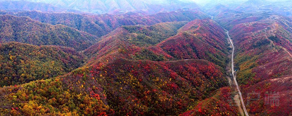 周口彩钢房_河南彩钢房多少钱一平方一平方_三门峡彩钢房