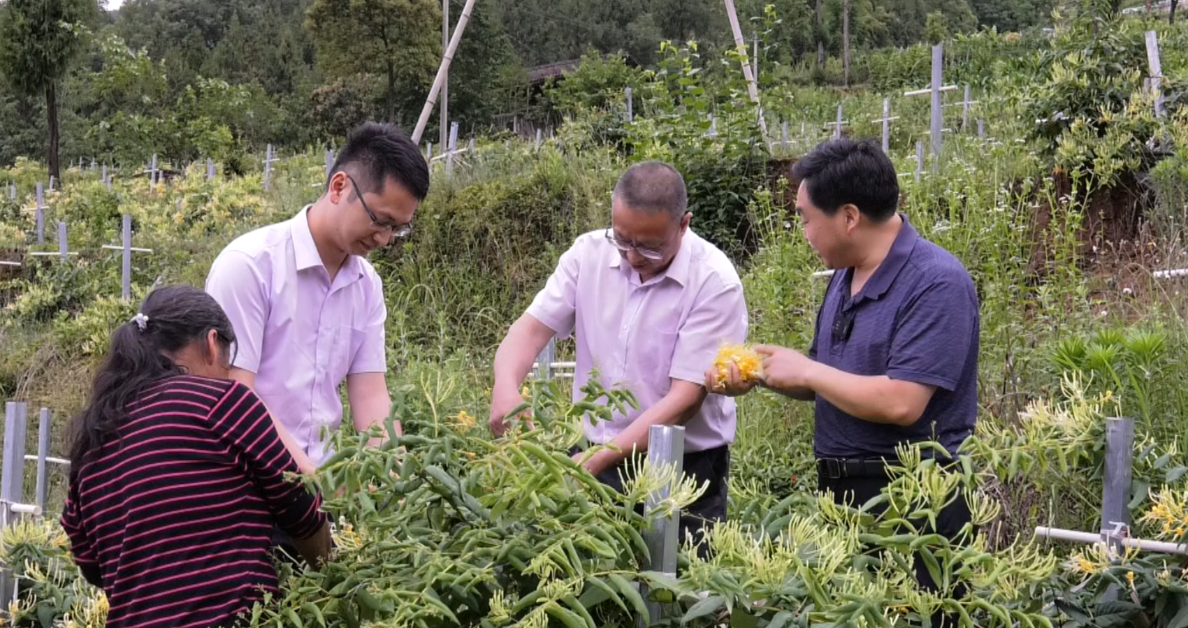 彩钢房齐齐哈尔哪里有卖_彩钢房齐齐哈尔哪家好_齐齐哈尔彩钢房