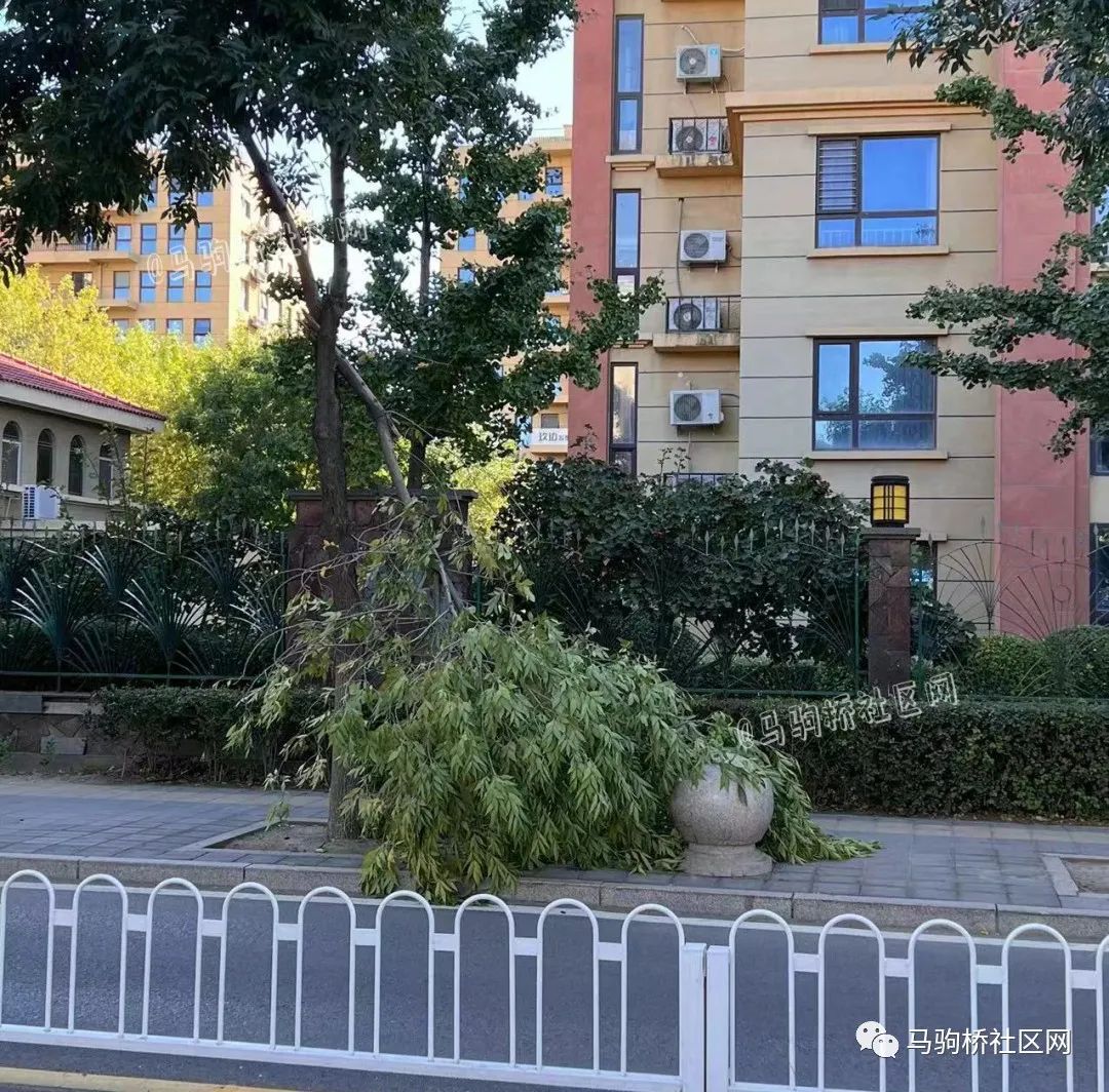 彩钢房房顶图片_彩钢房房顶漏水_房顶彩钢房