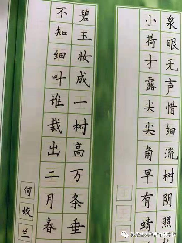 鸡汤读后感大全集_心灵鸡汤读后感200字_读《心灵鸡汤》有感作文