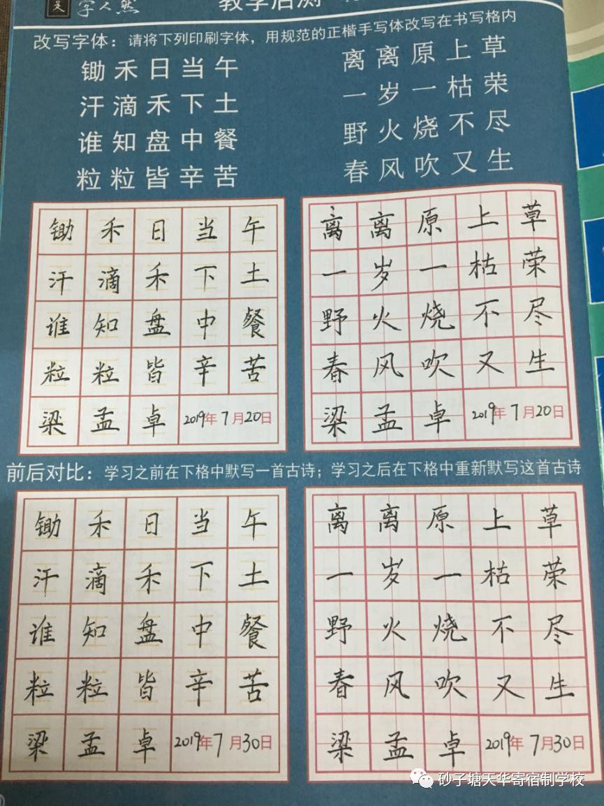 鸡汤读后感大全集_心灵鸡汤读后感200字_读《心灵鸡汤》有感作文