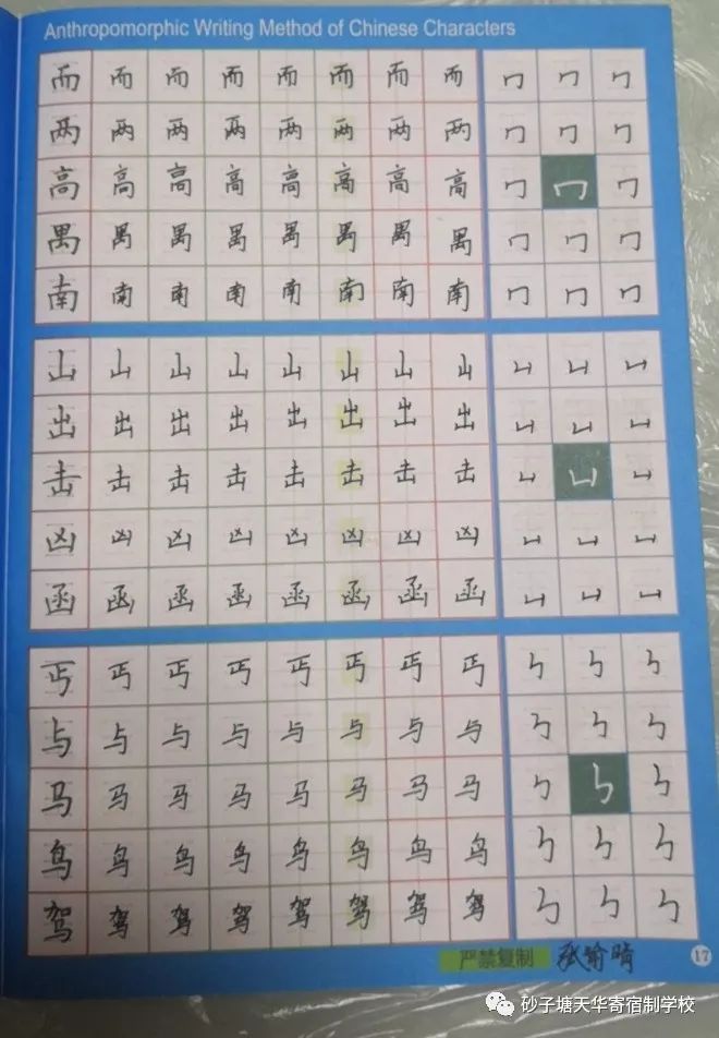 读《心灵鸡汤》有感作文_心灵鸡汤读后感200字_鸡汤读后感大全集