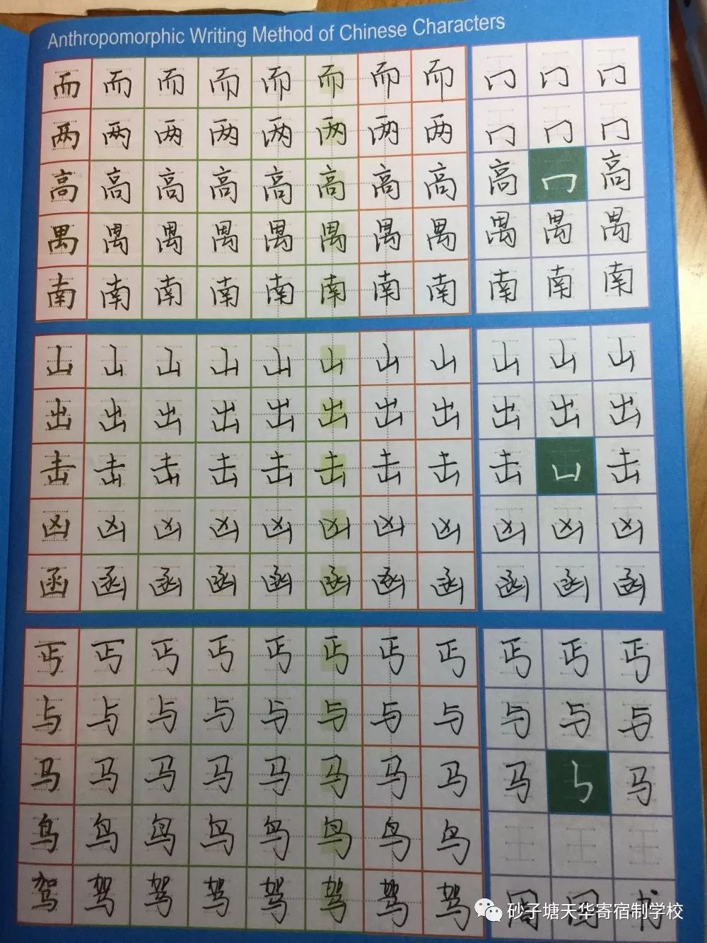 鸡汤读后感大全集_读《心灵鸡汤》有感作文_心灵鸡汤读后感200字