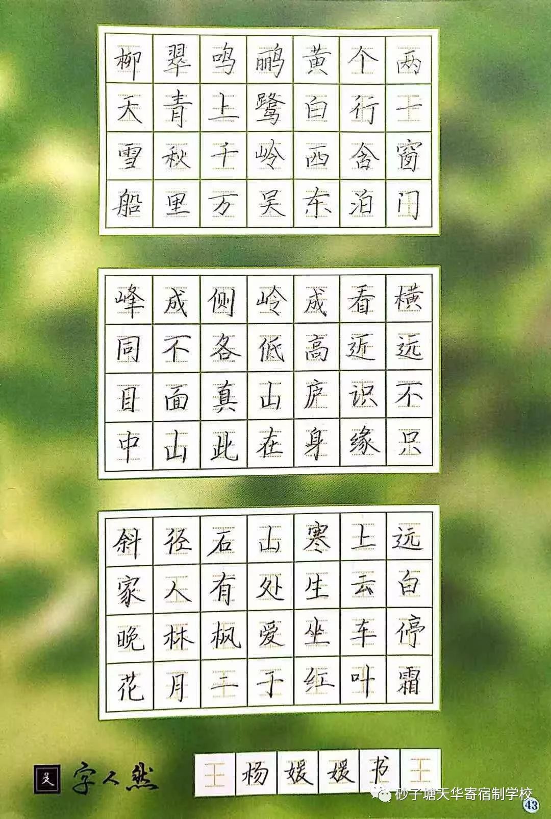 读《心灵鸡汤》有感作文_心灵鸡汤读后感200字_鸡汤读后感大全集