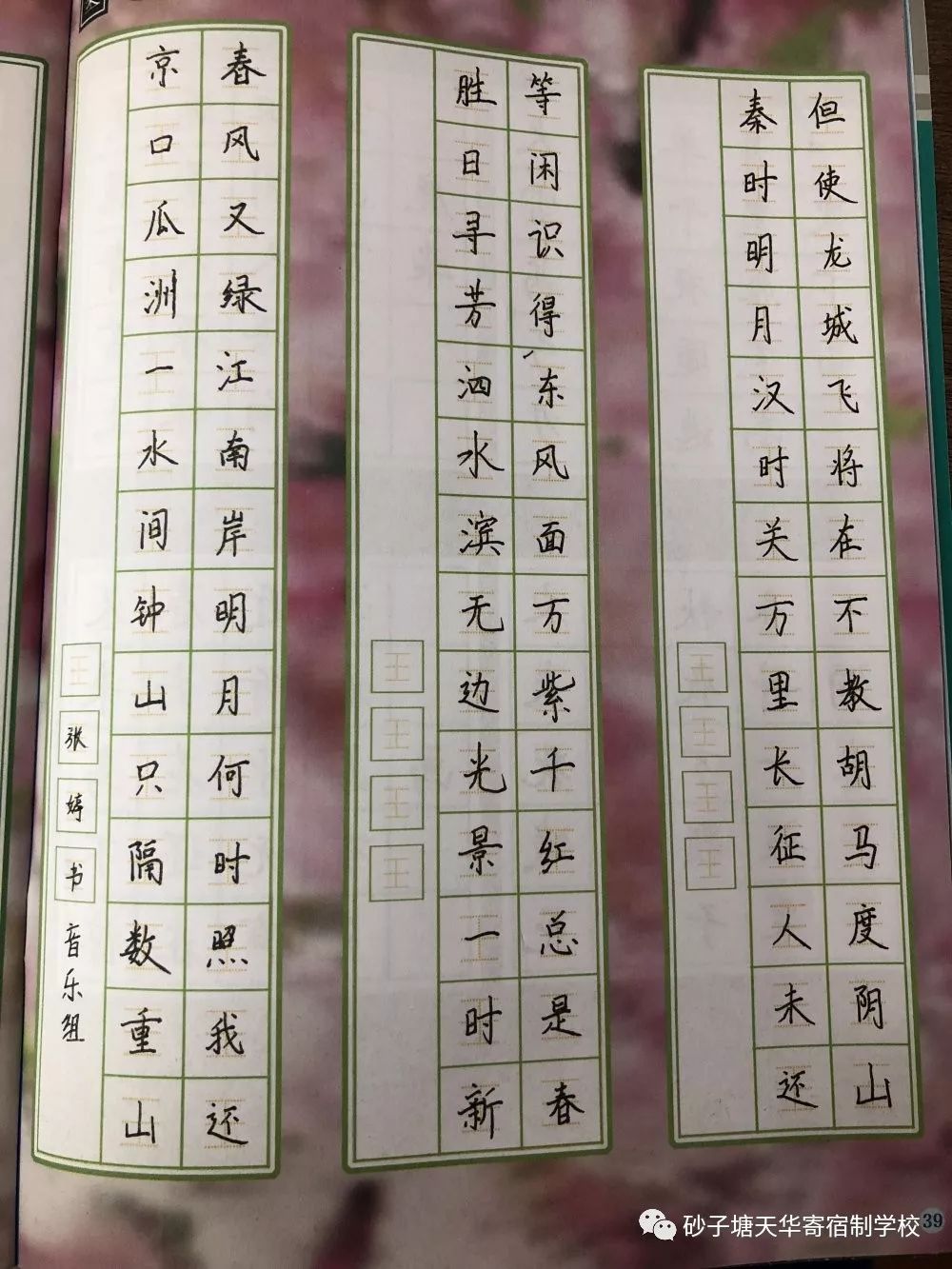 读《心灵鸡汤》有感作文_心灵鸡汤读后感200字_鸡汤读后感大全集