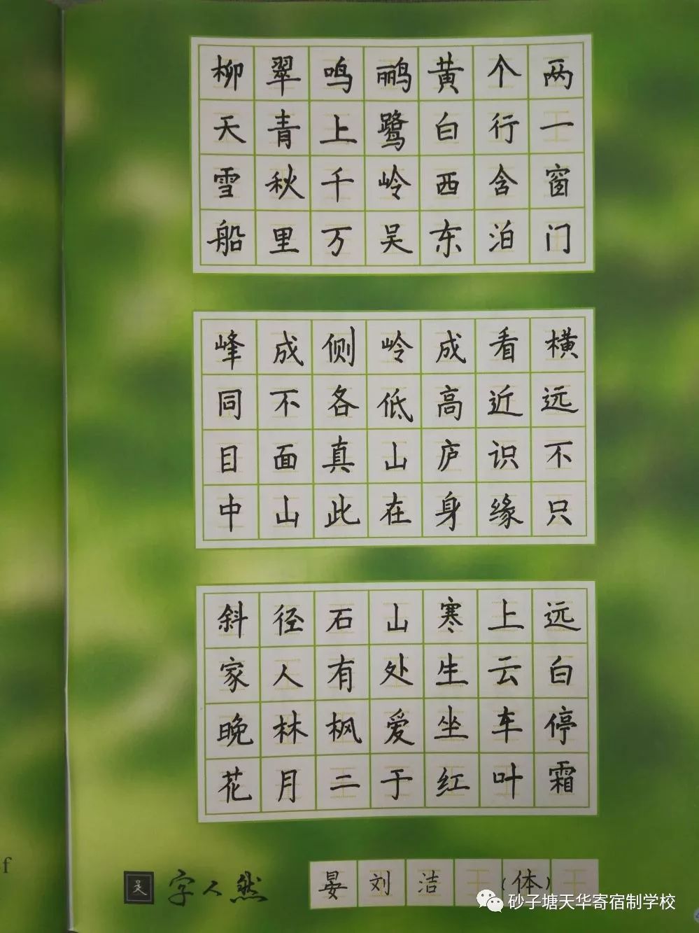 读《心灵鸡汤》有感作文_鸡汤读后感大全集_心灵鸡汤读后感200字