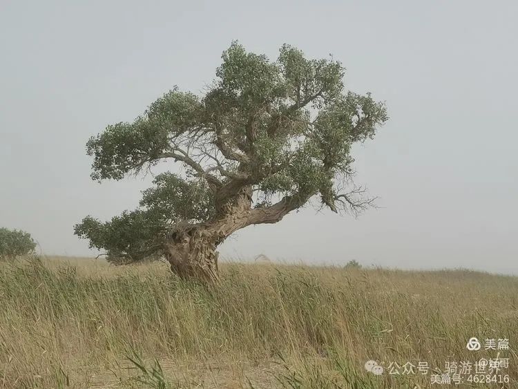 彩钢房钱全教程_彩钢房有什么好处_彩钢房多少钱