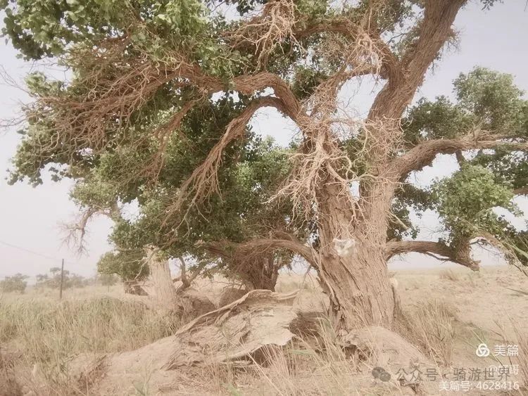 彩钢房钱全教程_彩钢房多少钱_彩钢房有什么好处