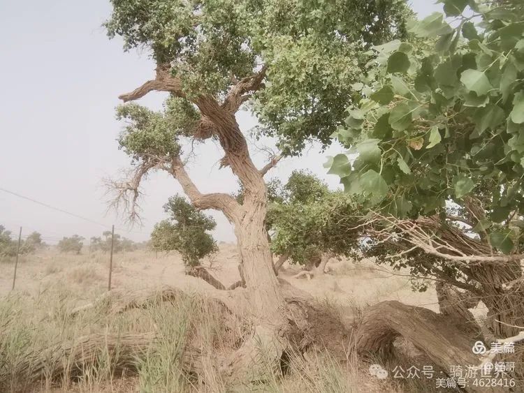 彩钢房有什么好处_彩钢房多少钱_彩钢房钱全教程