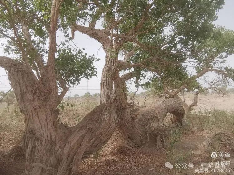 彩钢房多少钱_彩钢房有什么好处_彩钢房钱全教程