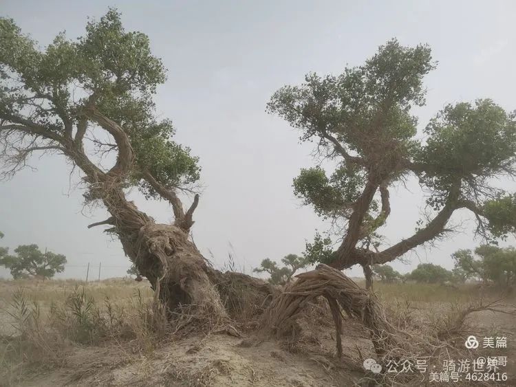 彩钢房有什么好处_彩钢房多少钱_彩钢房钱全教程