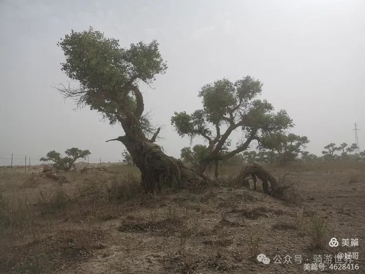 彩钢房钱全教程_彩钢房有什么好处_彩钢房多少钱