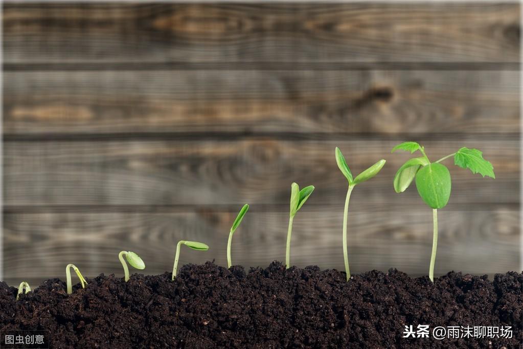 心灵鸡汤毒鸡汤_心灵鸡汤是毒药_心灵毒鸡汤的危害