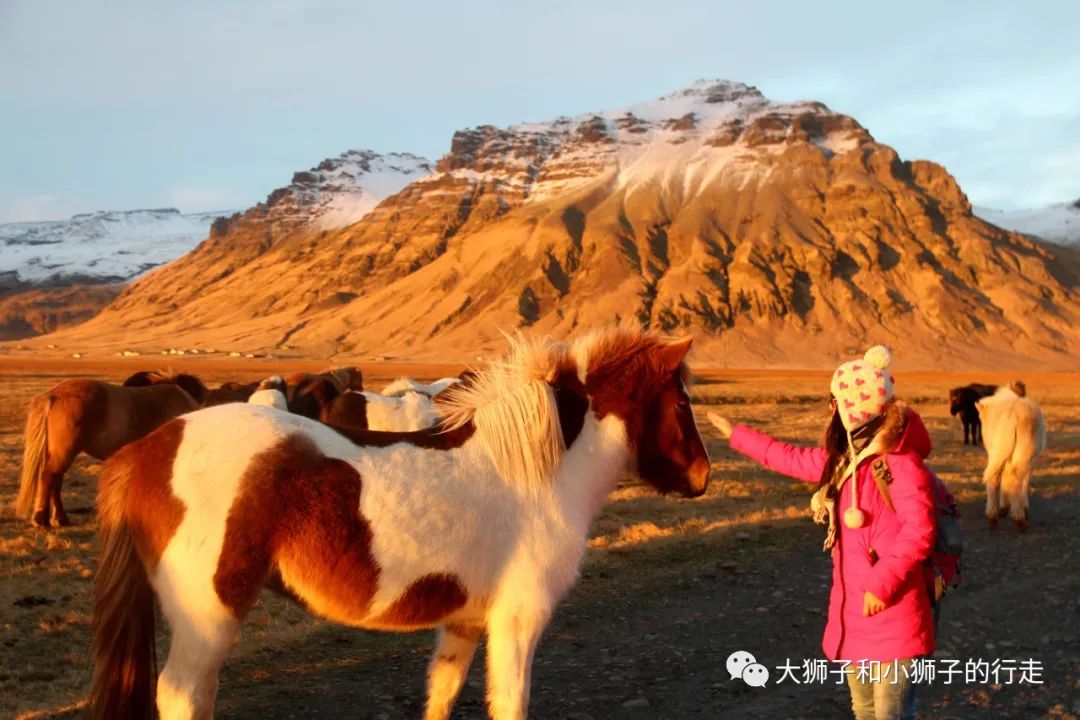 波罗的海三国人墙_波罗的海三国 人文_波罗的海三国人口数量