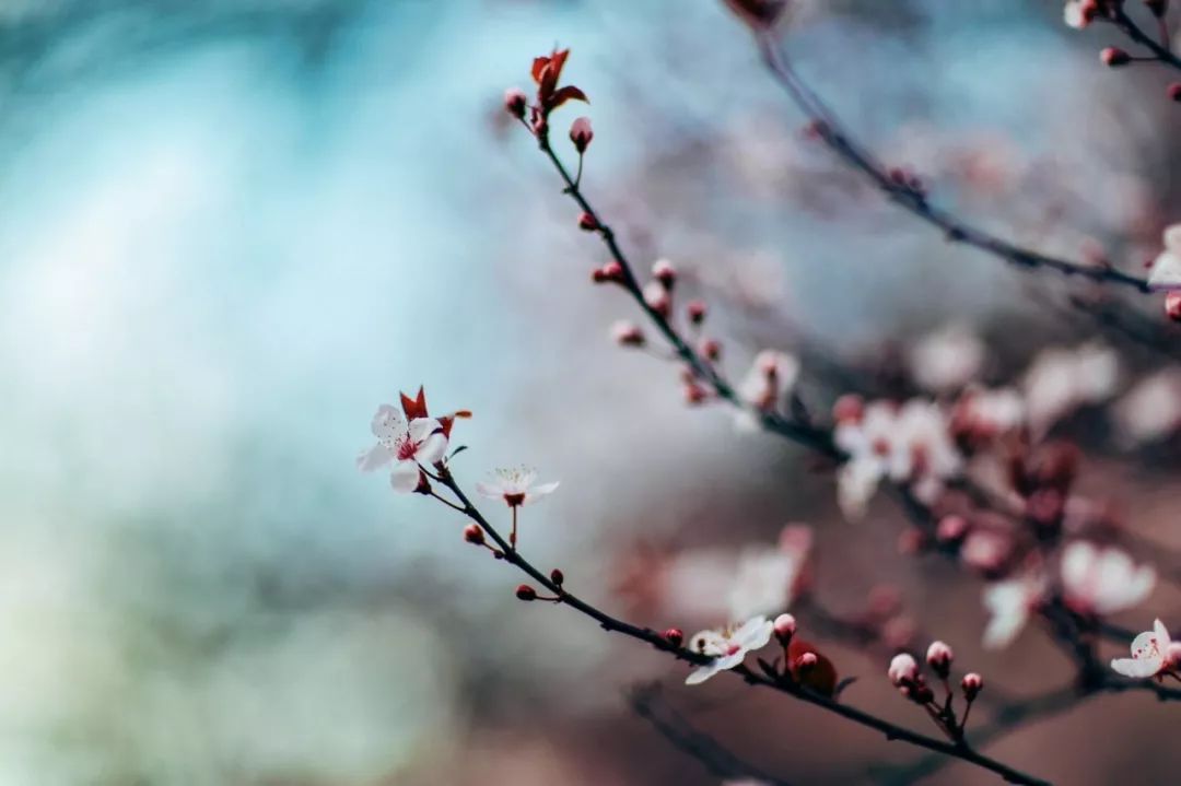 心灵鸡汤经典语录附图_走心的鸡汤语录_经典语录鸡汤