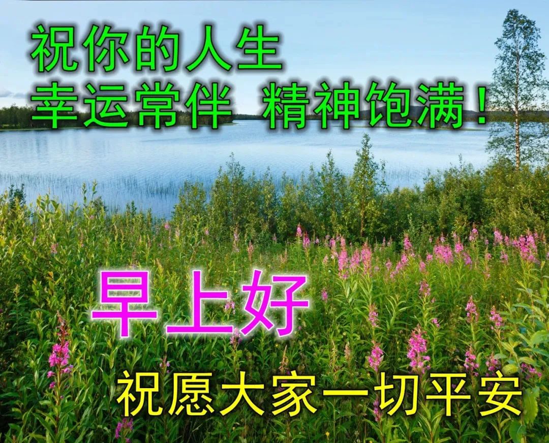 特别励志的心灵鸡汤_励志心灵鸡汤短句_励志心灵鸡汤句子