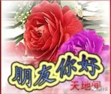 心灵鸡汤ppt下载_心灵鸡汤电子版_心灵鸡汤的ppt