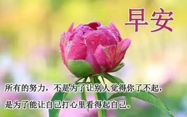 励志心灵鸡汤_励志心灵鸡汤句子_特别励志的心灵鸡汤