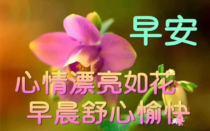 励志心灵鸡汤句子_励志心灵鸡汤_特别励志的心灵鸡汤