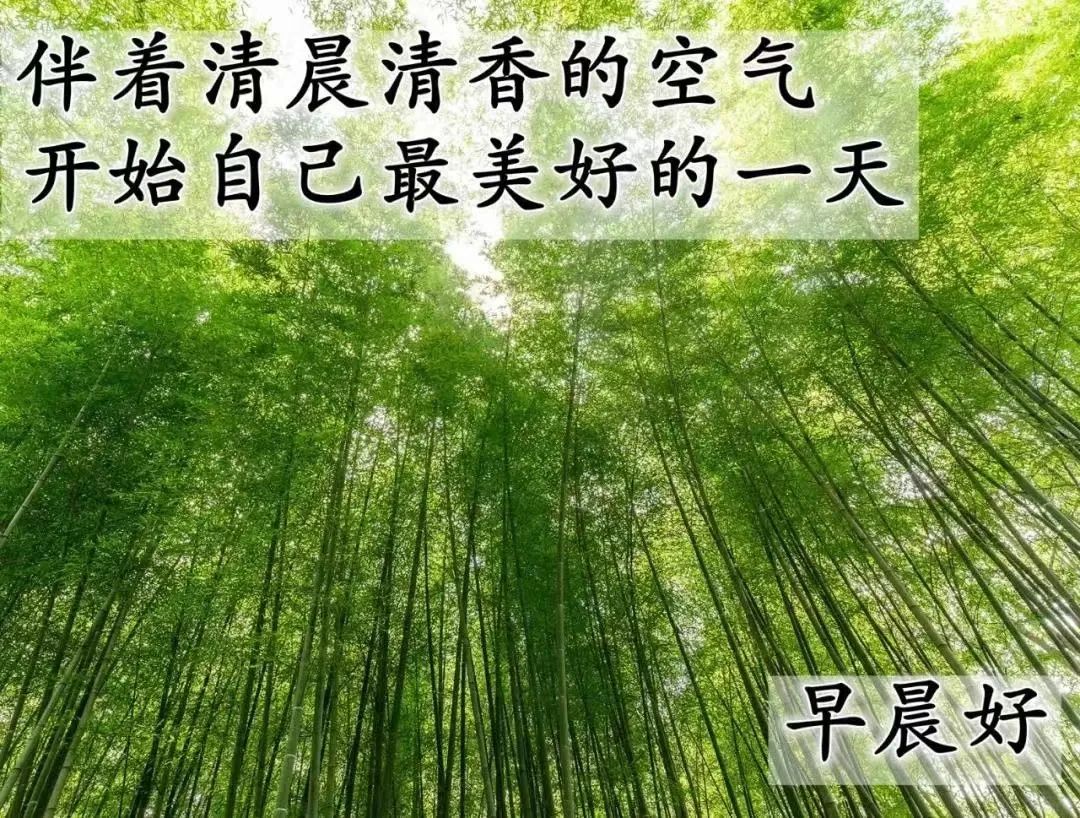 职场励志语录心灵鸡汤_职场励志的心灵鸡汤短句_早安心灵鸡汤励志职场