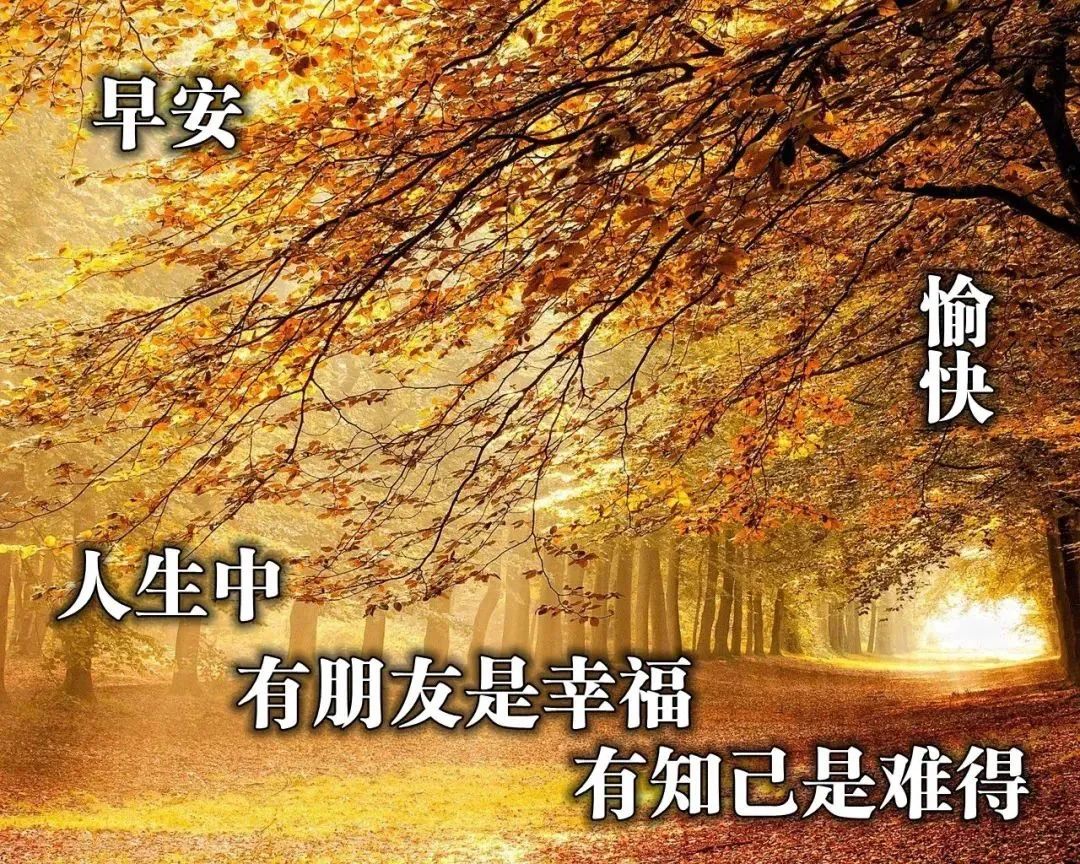 早安心灵鸡汤励志职场_职场励志的心灵鸡汤短句_职场早安鸡汤励志短语