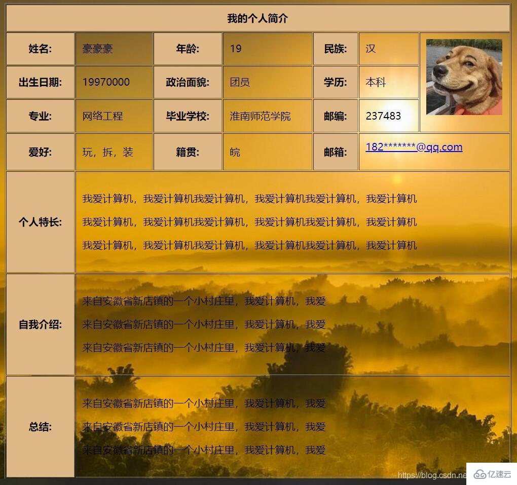 大学生简历样本_大学生表格简历模板_简历模版大学生