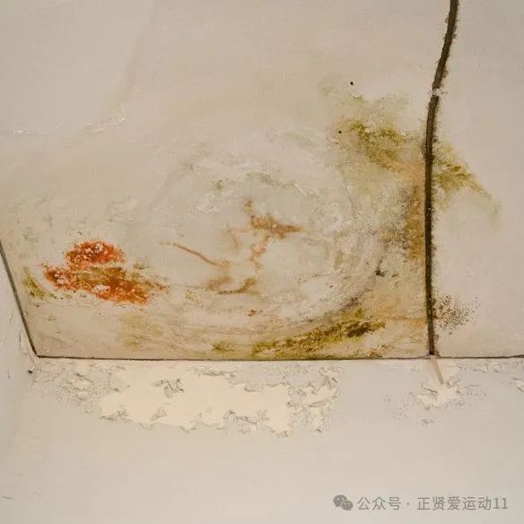 彩钢房防水胶_彩钢房防水材料_彩钢房防水