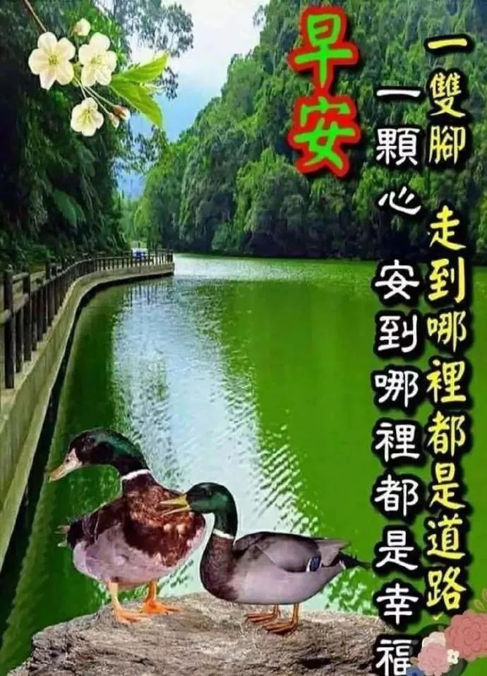 职场励志的心灵鸡汤短句_职场励志语录心灵鸡汤_早安心灵鸡汤励志职场