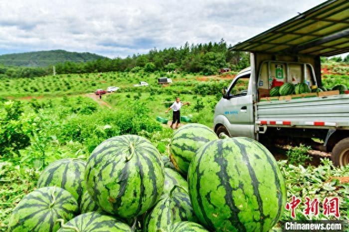 湖南东安“一地多收”助农增收__湖南东安“一地多收”助农增收