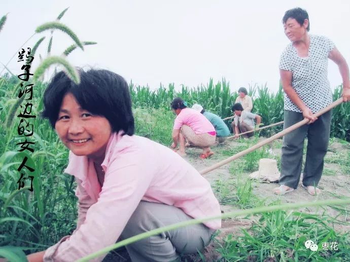 彩钢房的坏处_彩钢房的优点_彩钢房的利弊