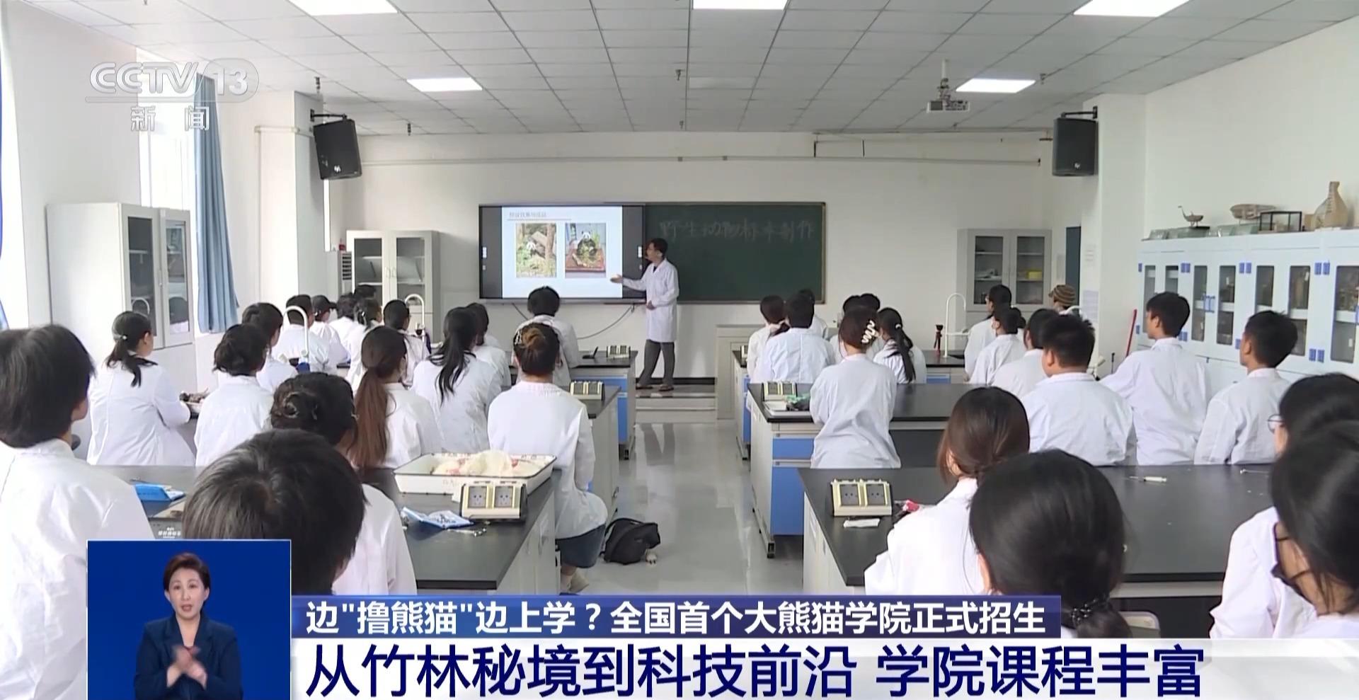 _熊猫学校_熊猫学院公众号