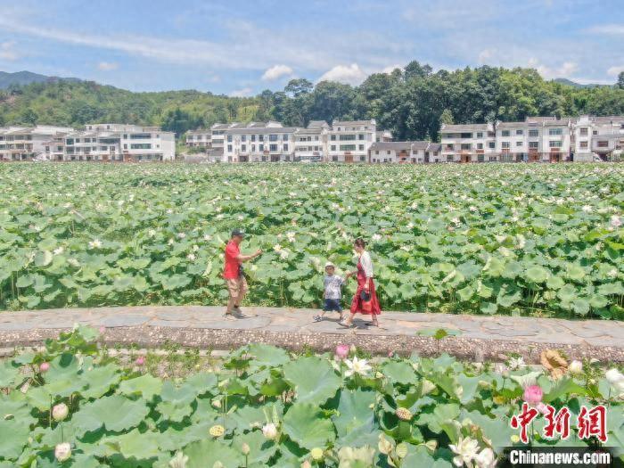 _北方技术学校都有哪些专业_三年级美术快乐的节日教案