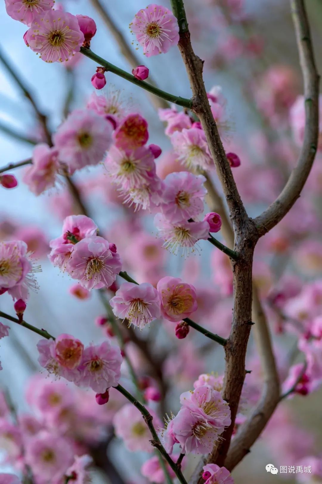 莱芜市彩钢房_彩钢房莱芜市哪里卖_莱芜彩钢瓦