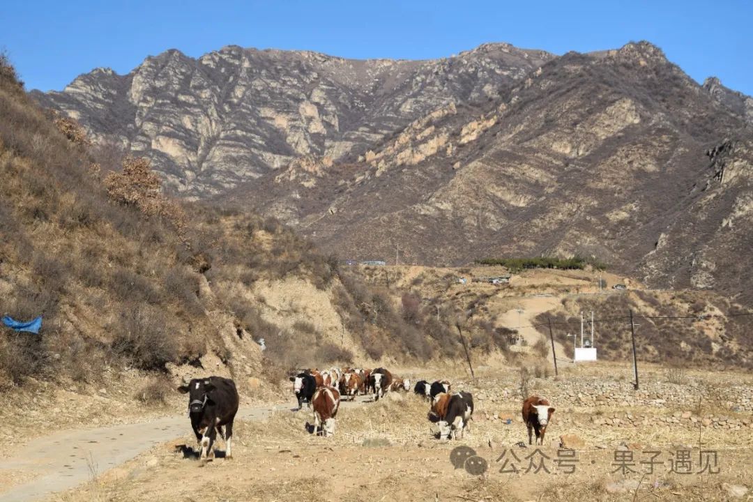 彩钢平米房算不算违建_彩钢房的平方面积怎么算_彩钢房平米怎么算