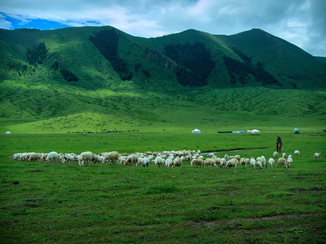 _新疆旅游的正确打开方式：时间、路线、南北疆，一篇搞懂！_新疆旅游的正确打开方式：时间、路线、南北疆，一篇搞懂！