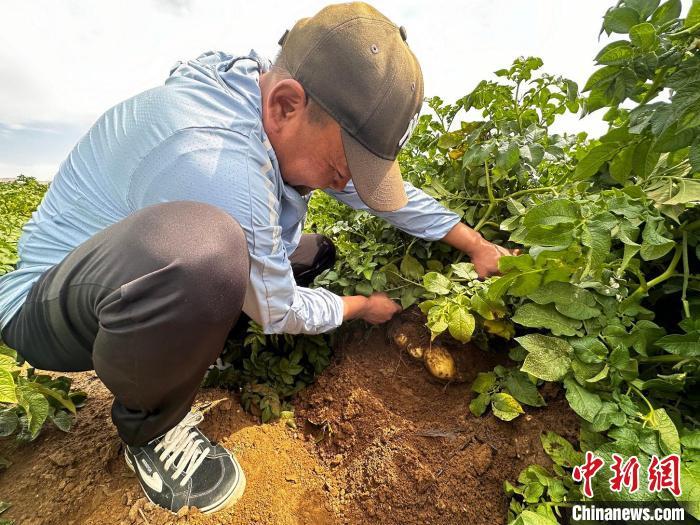 内蒙古自治区西部_内蒙古西部地区欢迎您_