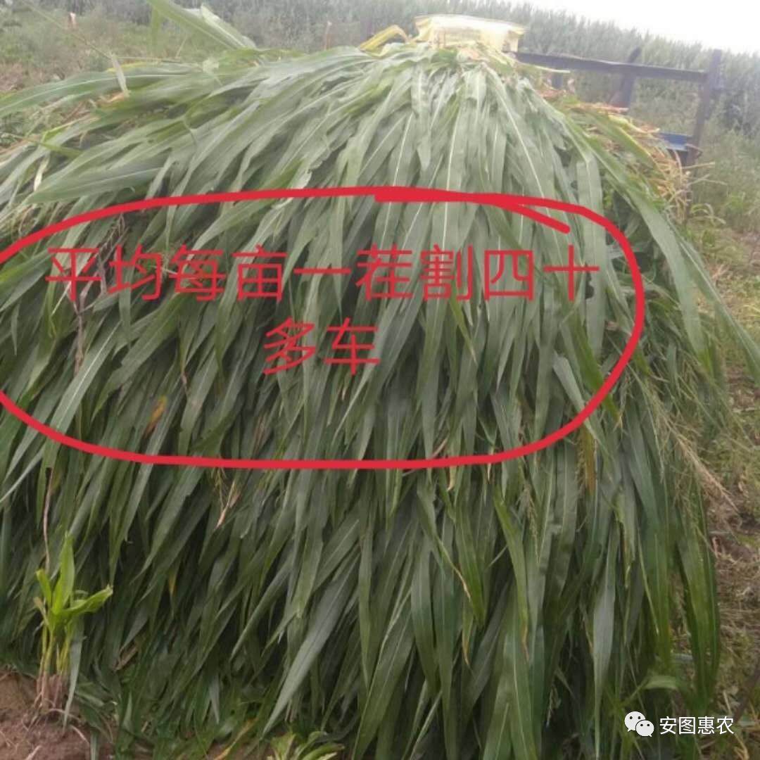 二手彩钢活动房大量出售_二手彩钢房活动房_出售二手彩钢房六个