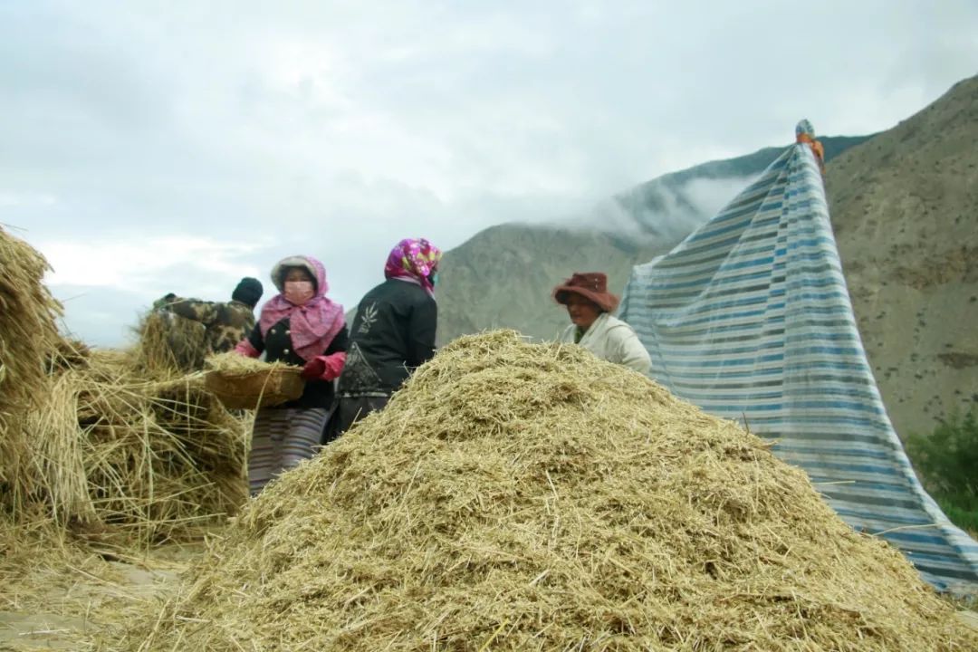 彩钢房构造_彩钢房结构设计图纸_彩钢房设计