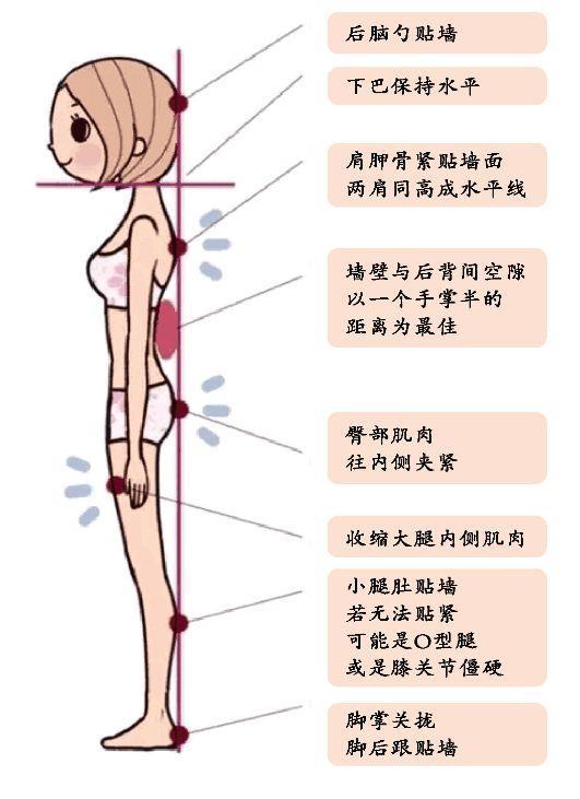 _瘦和健身的瘦图片_健身和饿瘦的区别