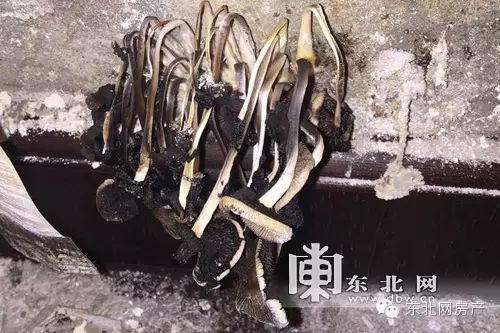 彩钢简易房搭建价格多少钱_彩钢简易房是怎么盖的_简易彩钢房搭建和价格